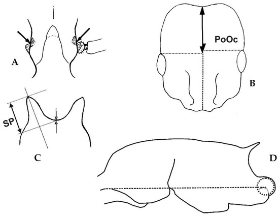 Diversity 15 00025 g001