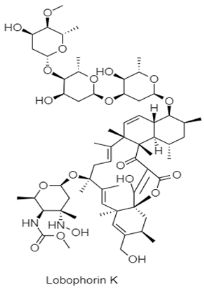 Diversity 15 00030 i008