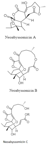 Diversity 15 00030 i013