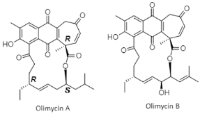 Diversity 15 00030 i019