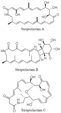 Diversity 15 00030 i022