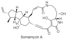 Diversity 15 00030 i025