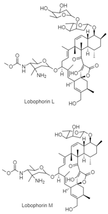 Diversity 15 00030 i031