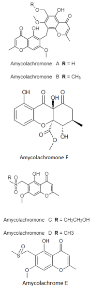 Diversity 15 00030 i033