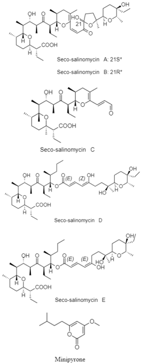 Diversity 15 00030 i034