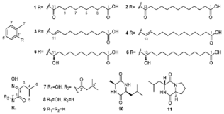 Diversity 15 00030 i037