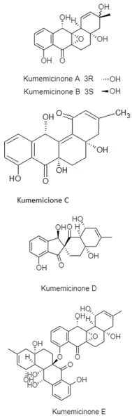 Diversity 15 00030 i039a