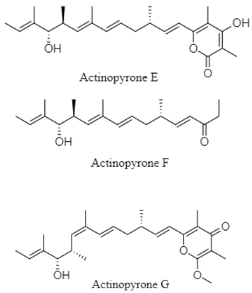 Diversity 15 00030 i040