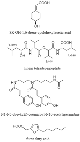Diversity 15 00030 i041