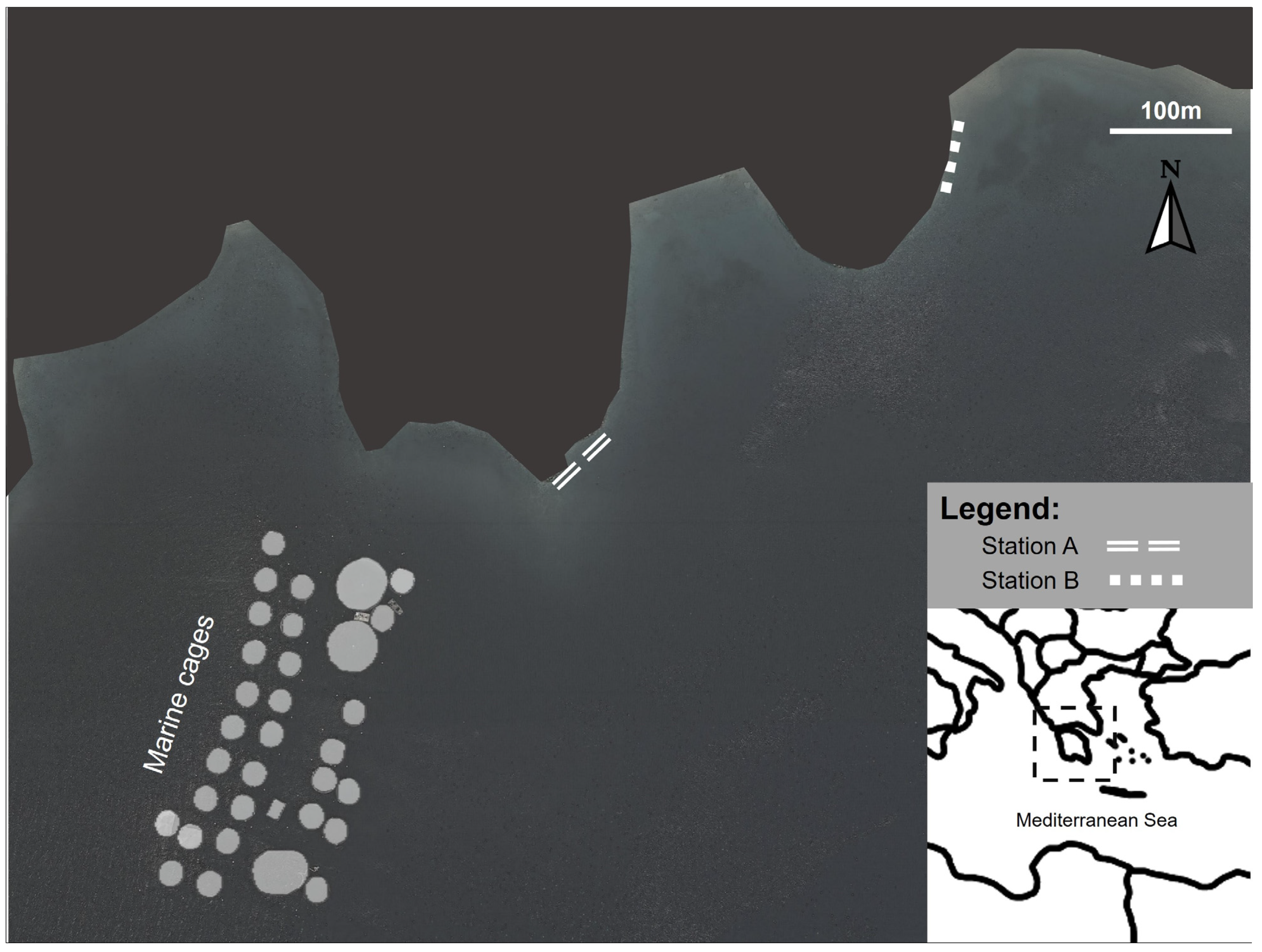 Diversity 15 00031 g001