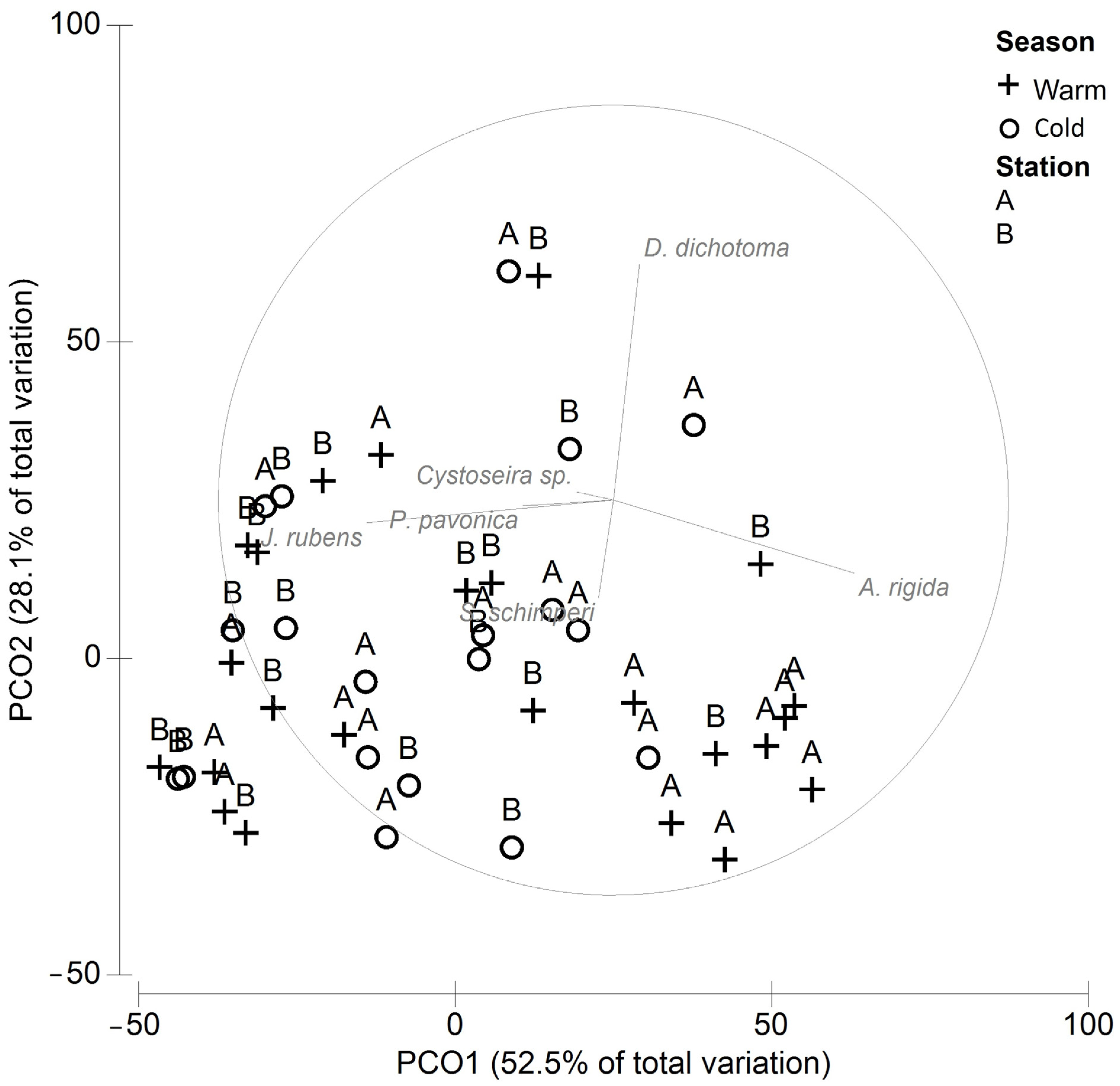 Diversity 15 00031 g002