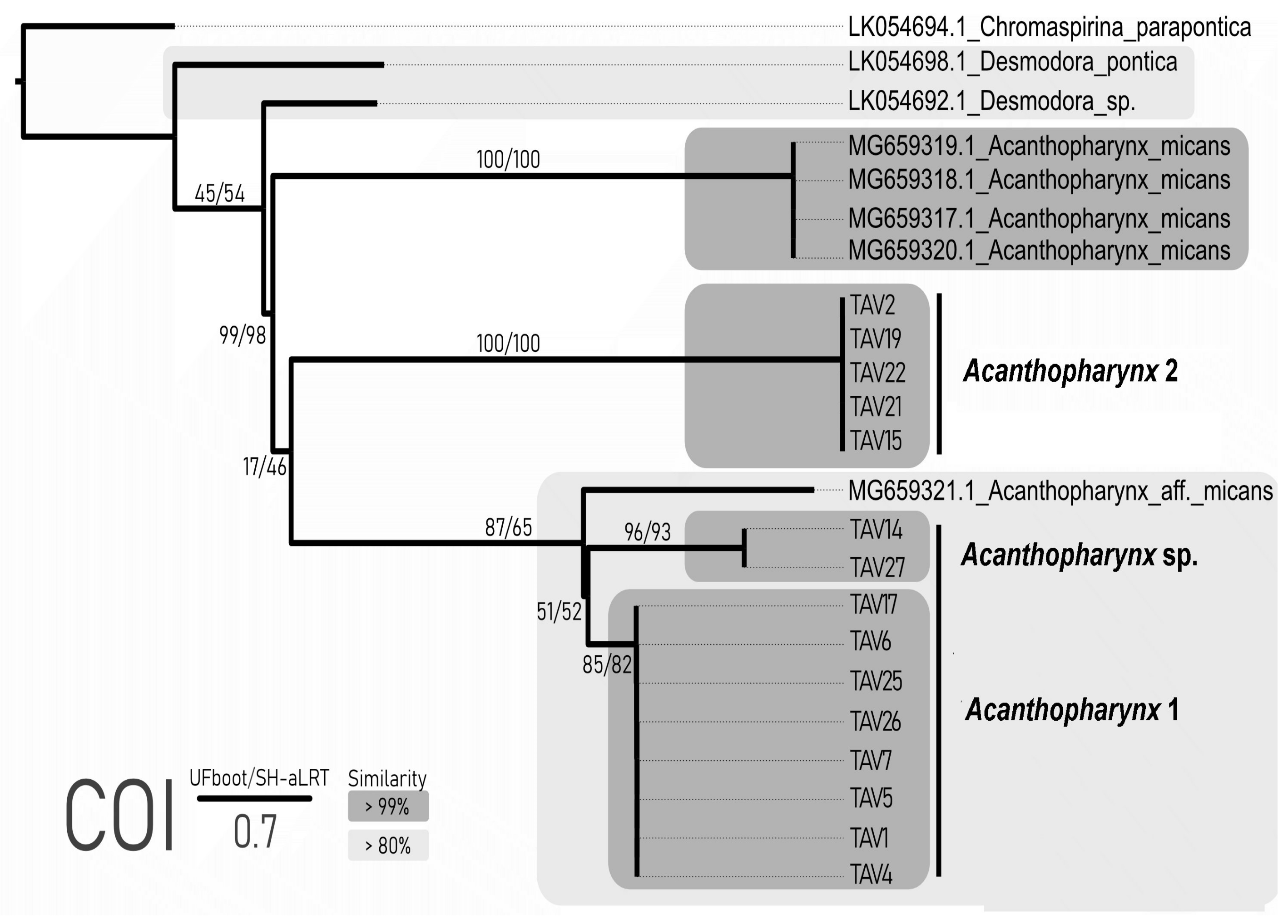 Diversity 15 00048 g005