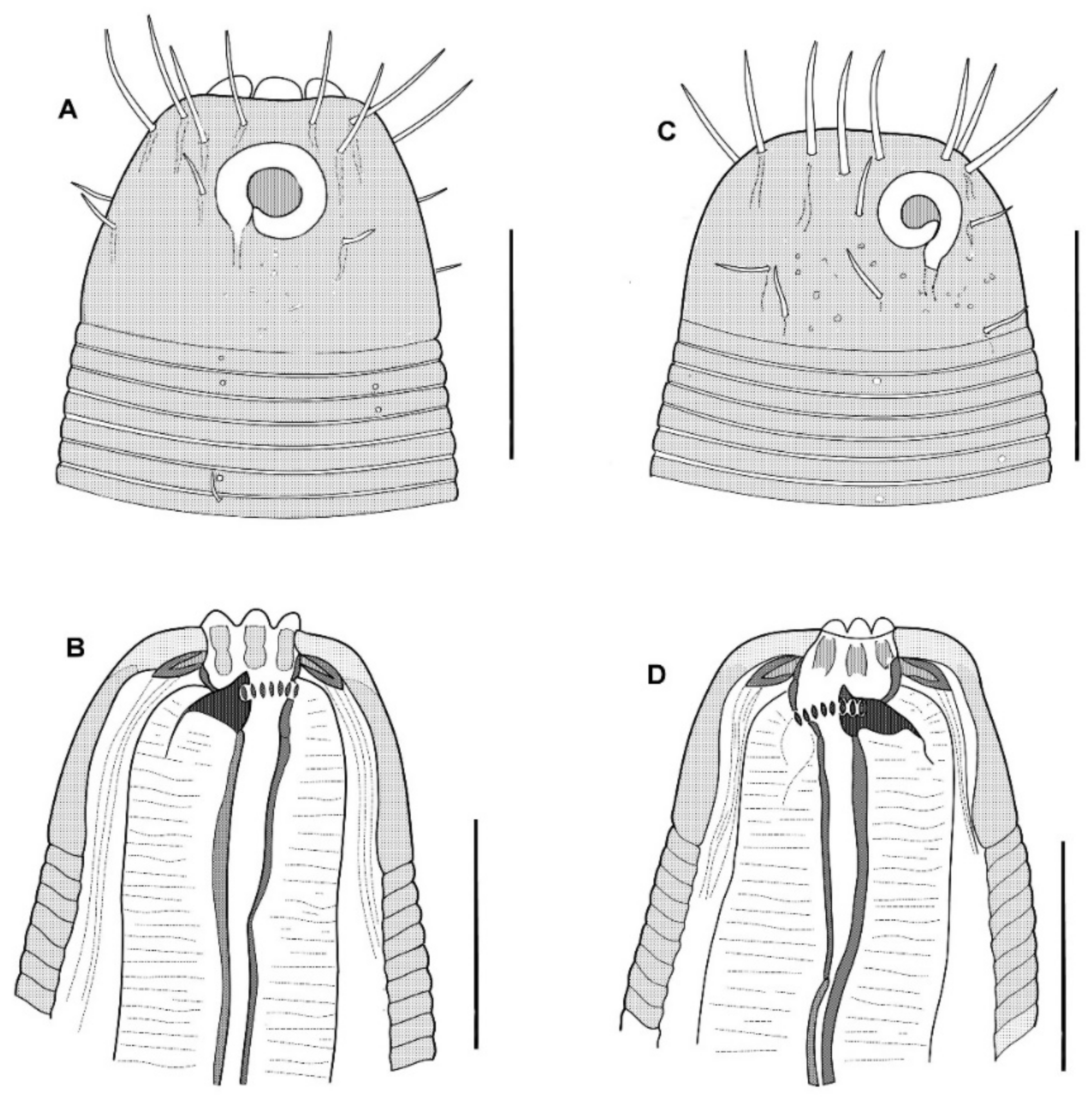 Diversity 15 00048 g008