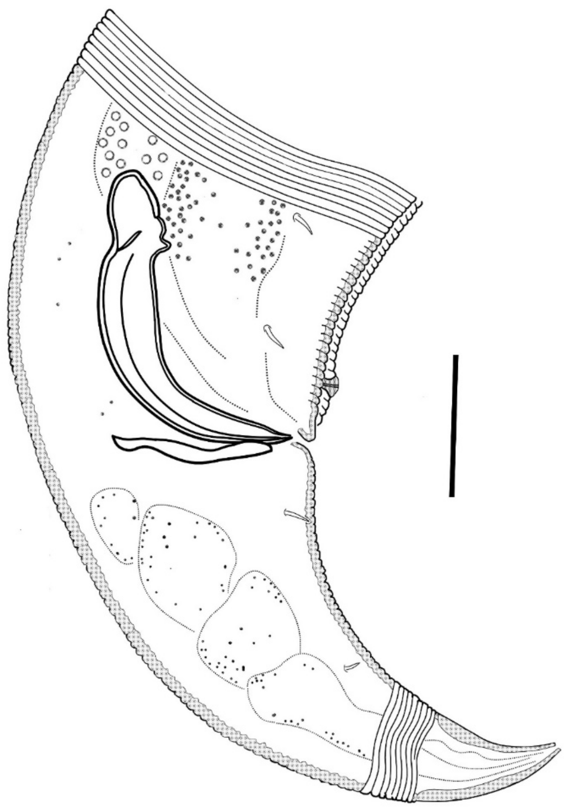 Diversity 15 00048 g009