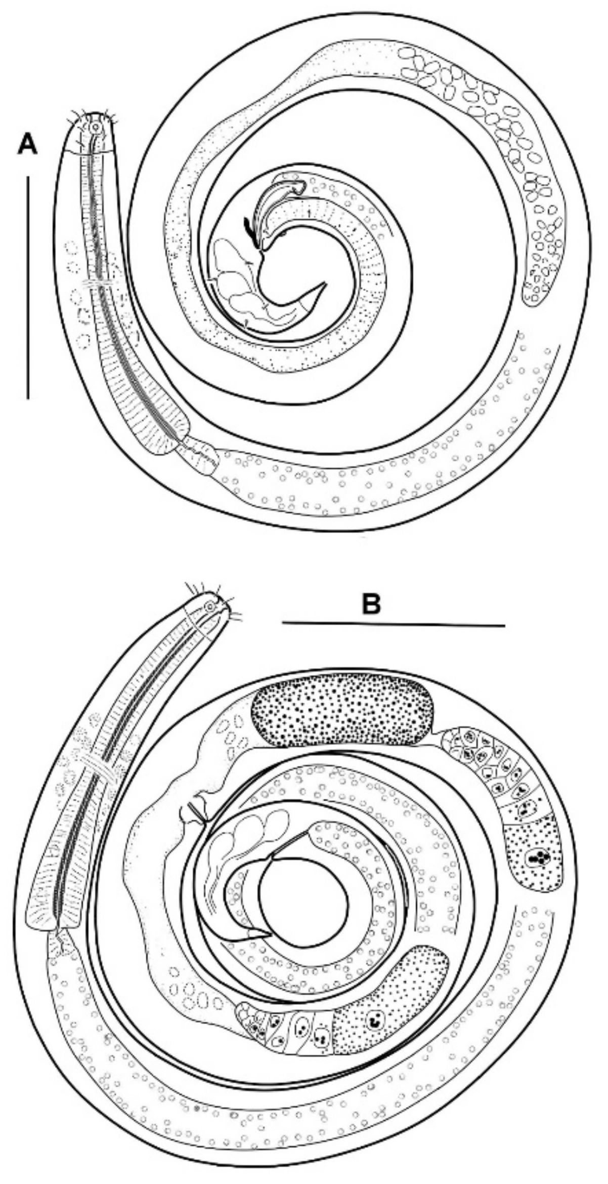 Diversity 15 00048 g011