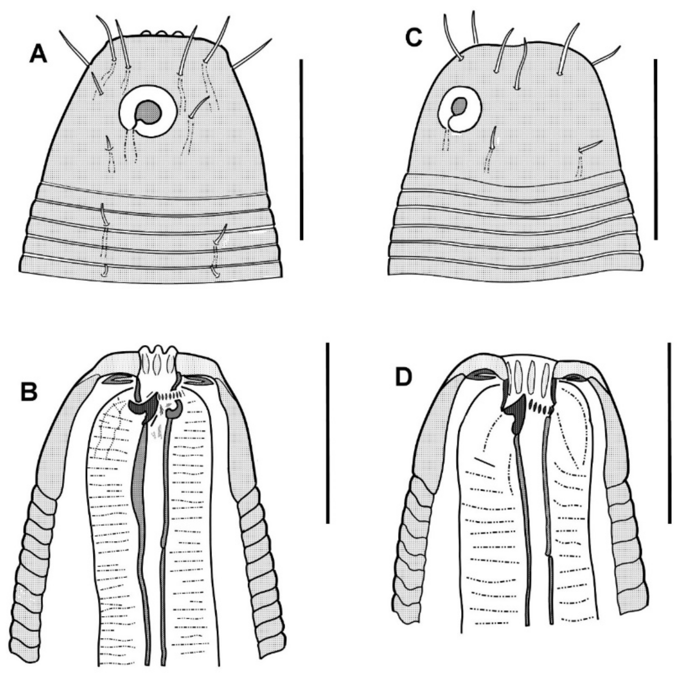 Diversity 15 00048 g012