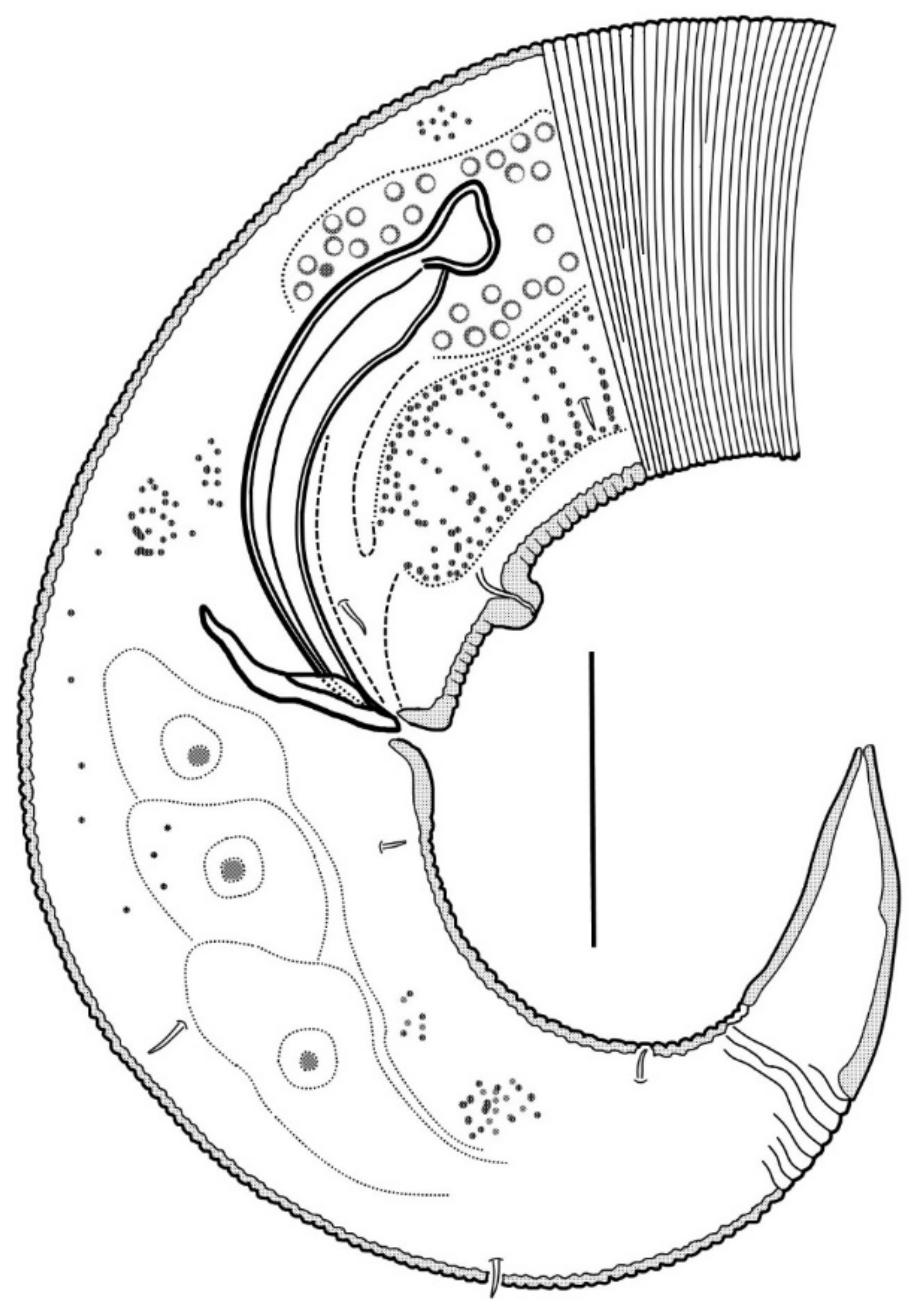 Diversity 15 00048 g013