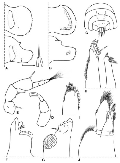 Diversity 15 00068 g002