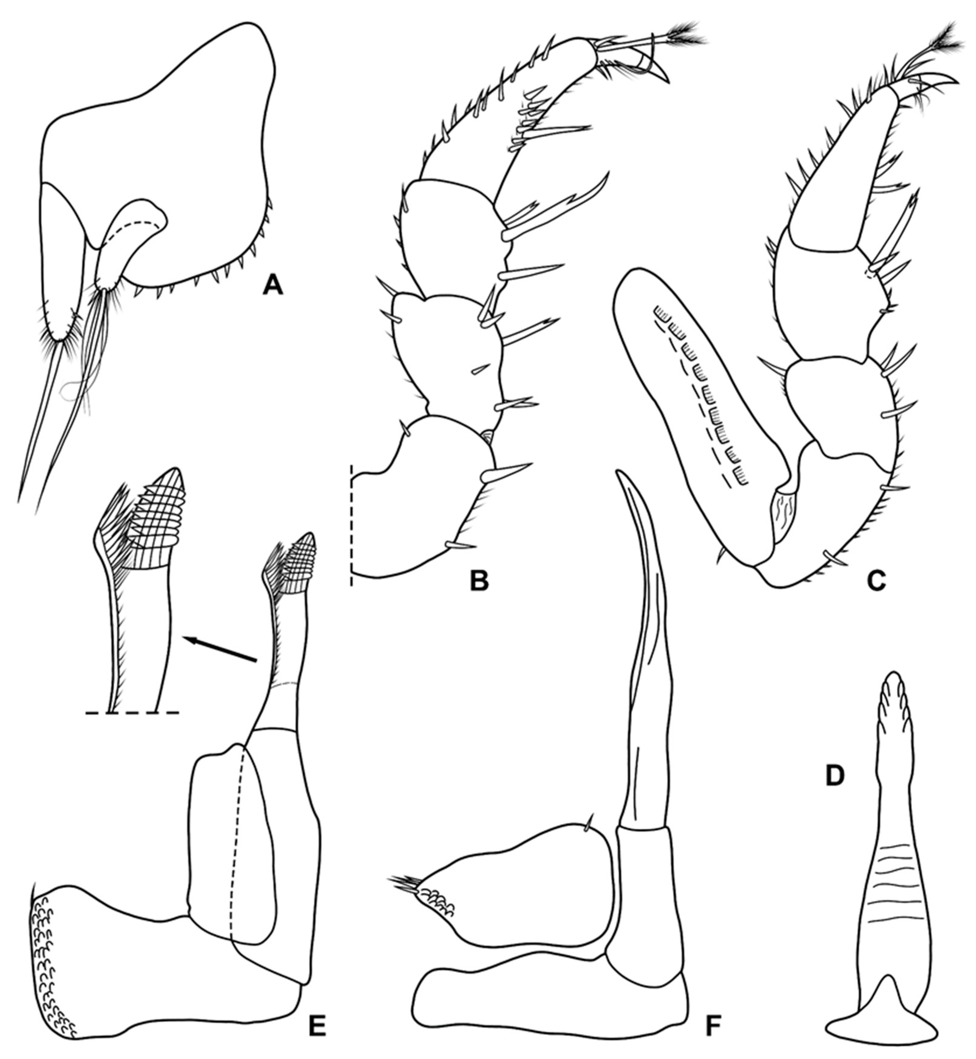 Diversity 15 00068 g003