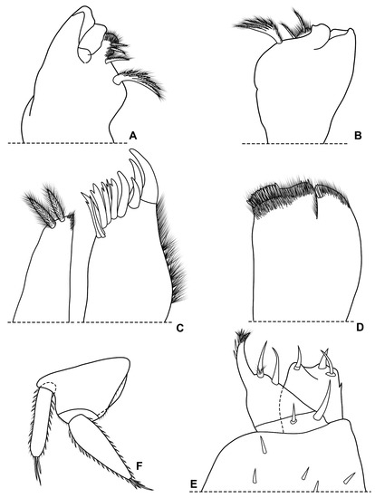 Diversity 15 00068 g005