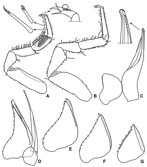 Diversity 15 00068 g006