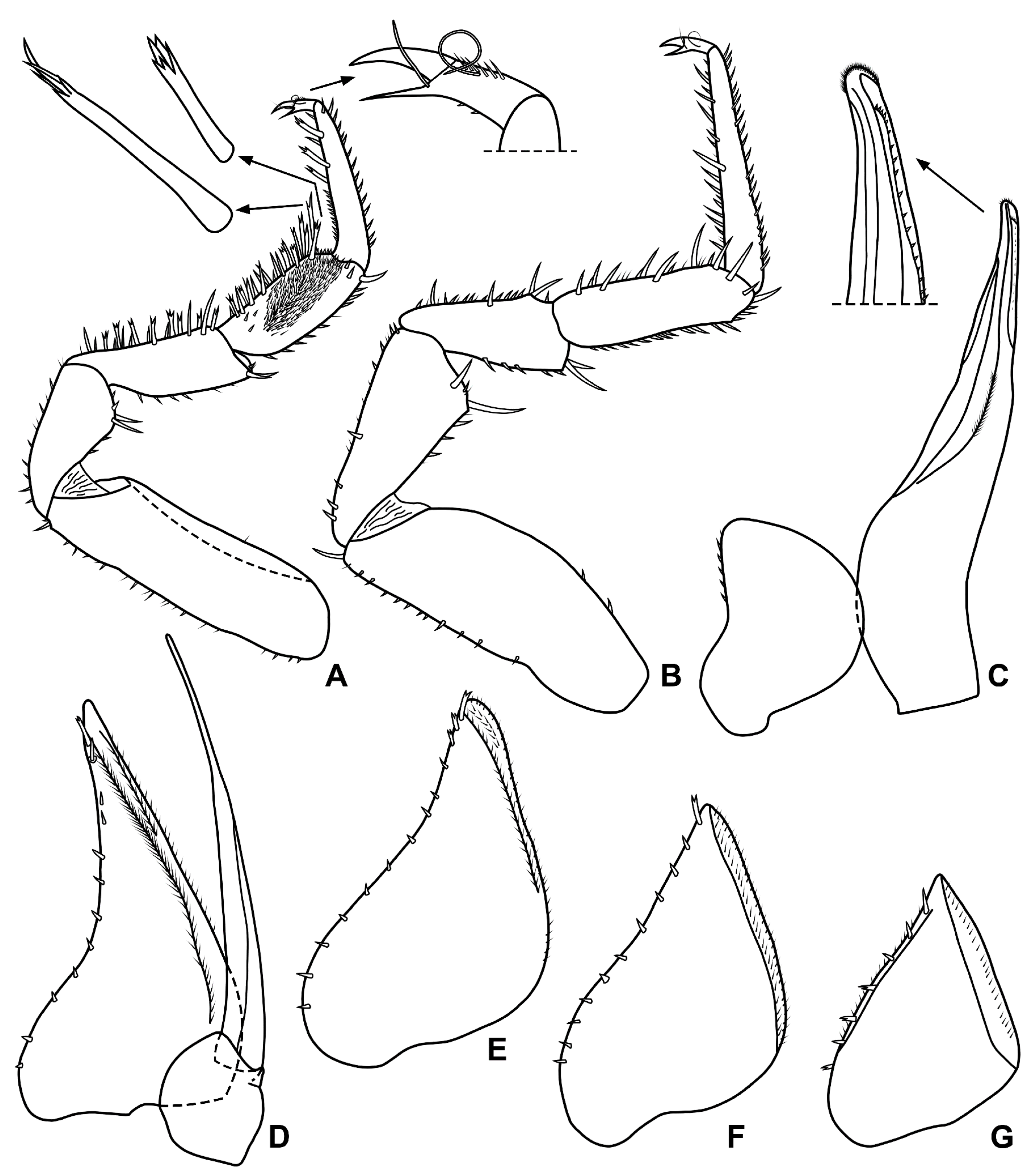 Diversity 15 00068 g006