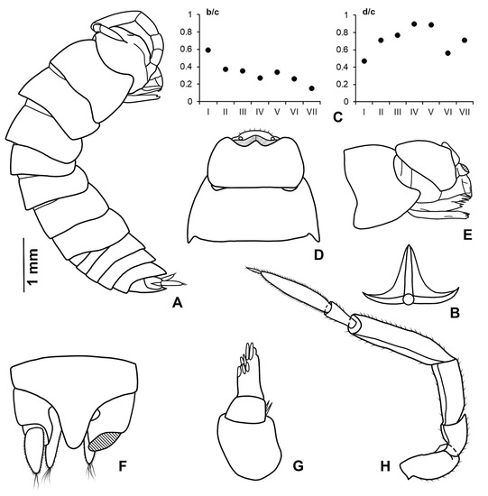 Diversity 15 00068 g007