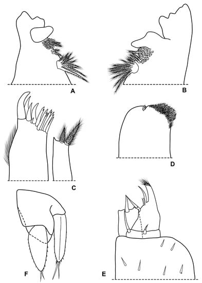 Diversity 15 00068 g008