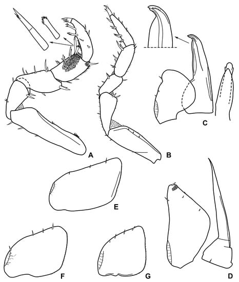 Diversity 15 00068 g009
