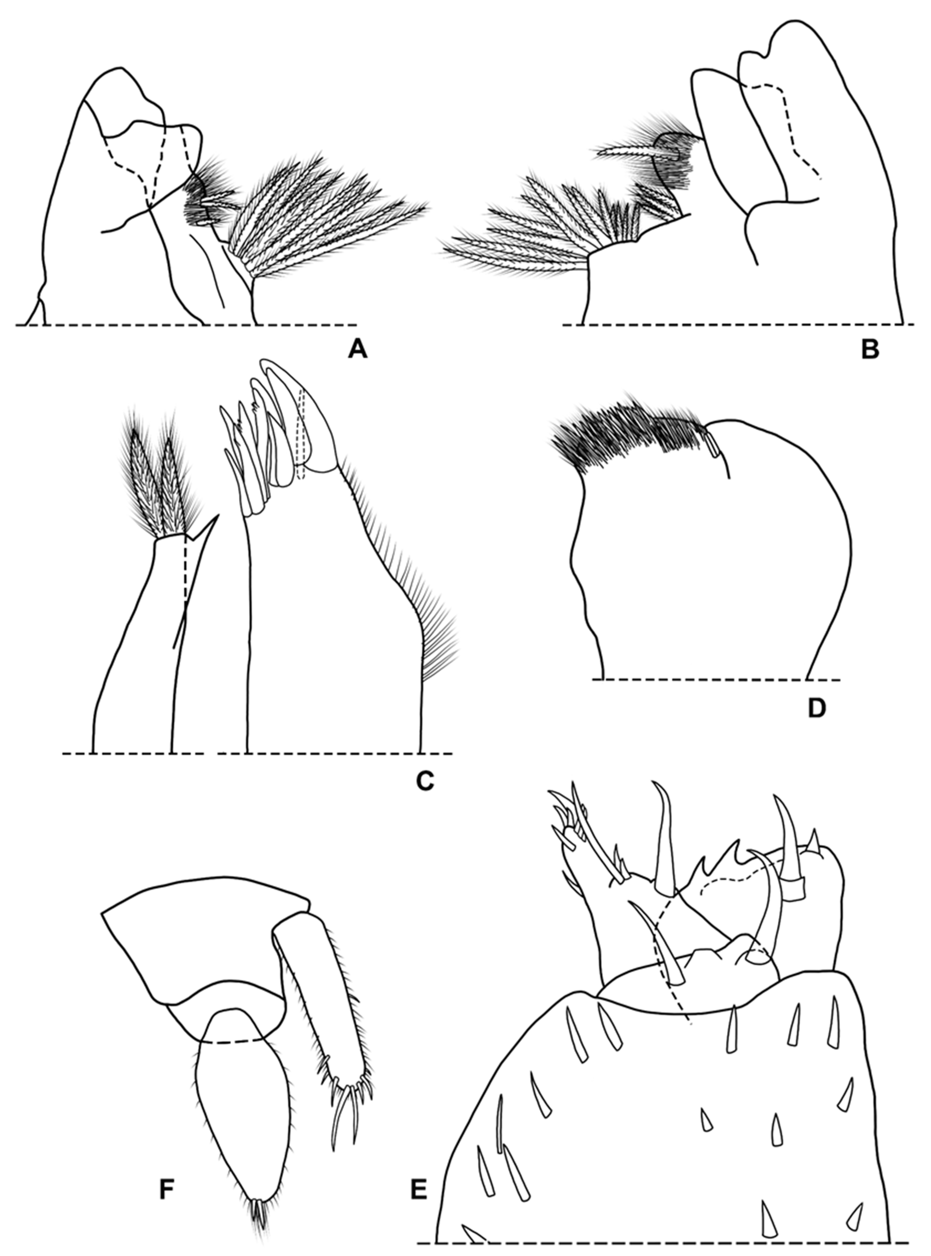 Diversity 15 00068 g011