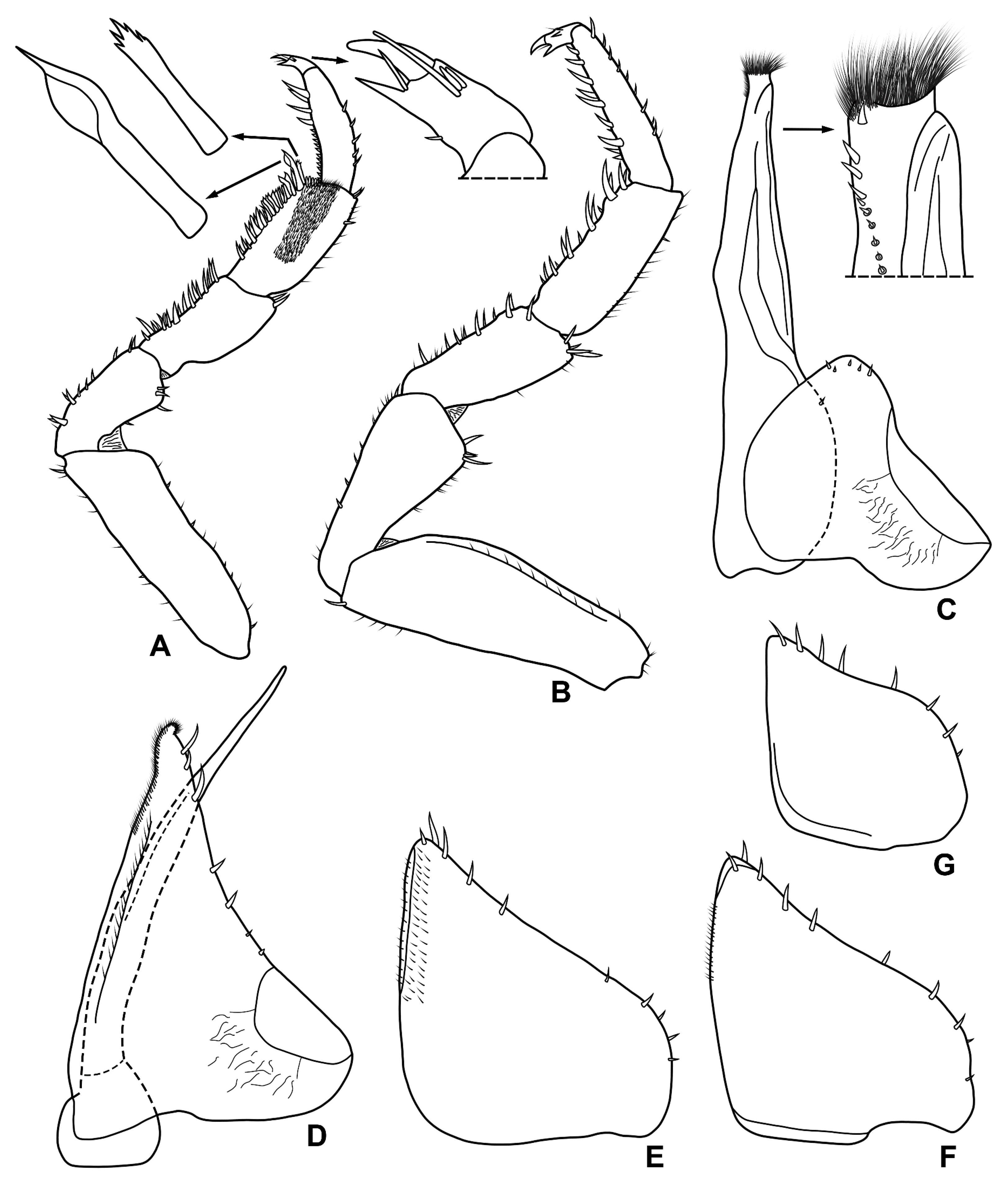 Diversity 15 00068 g012