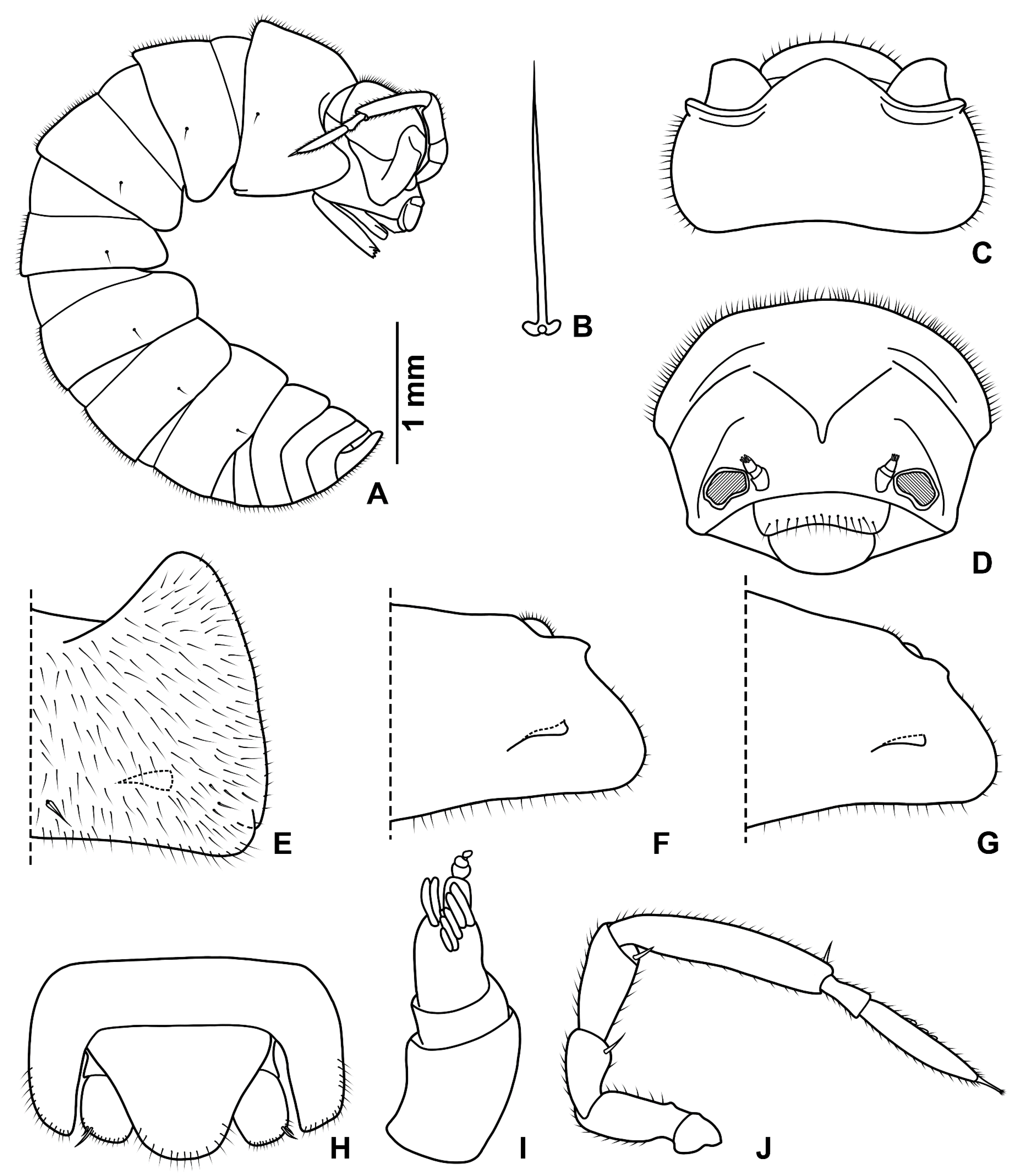 Diversity 15 00068 g013
