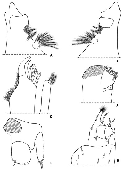 Diversity 15 00068 g014