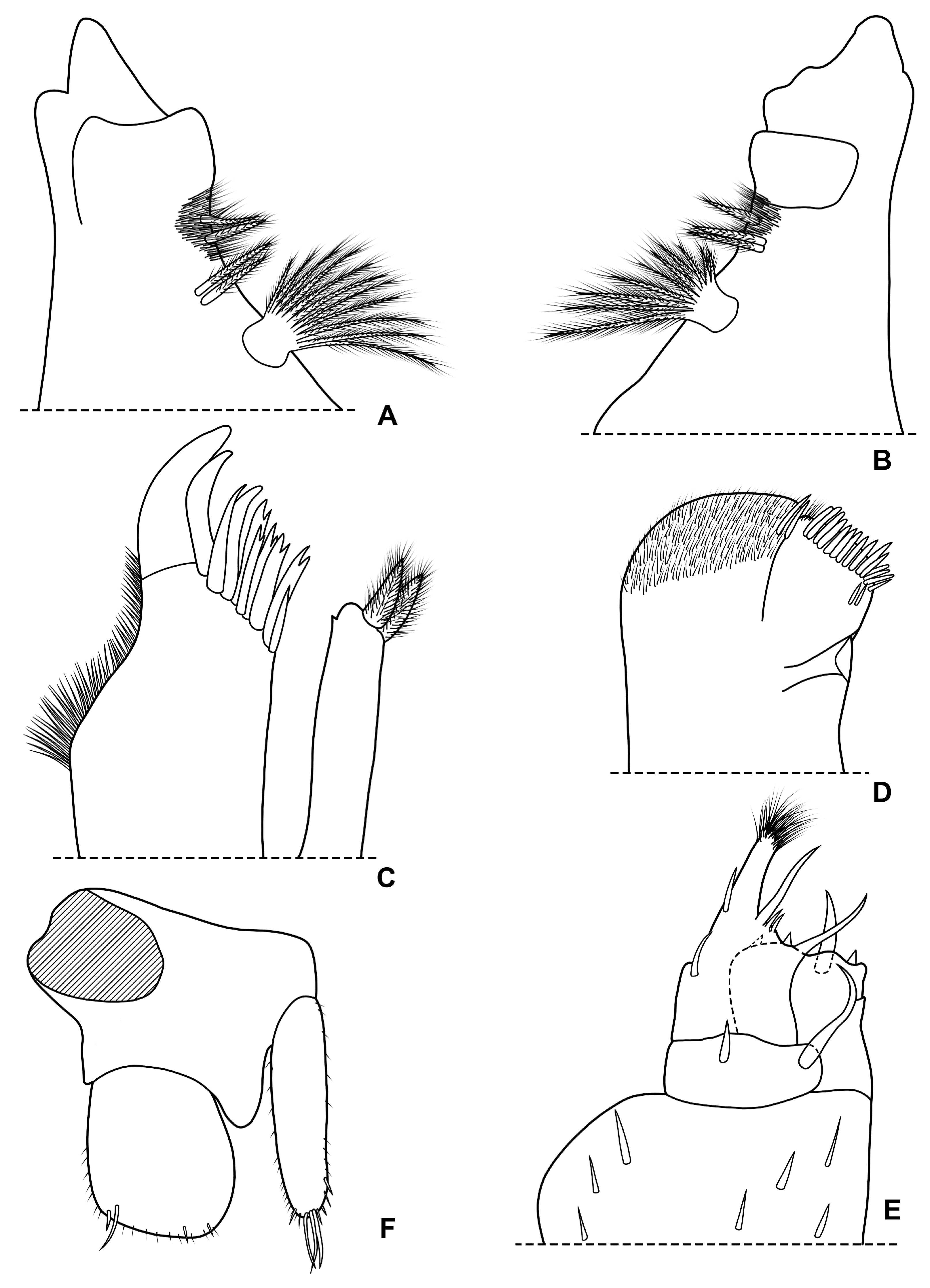 Diversity 15 00068 g014