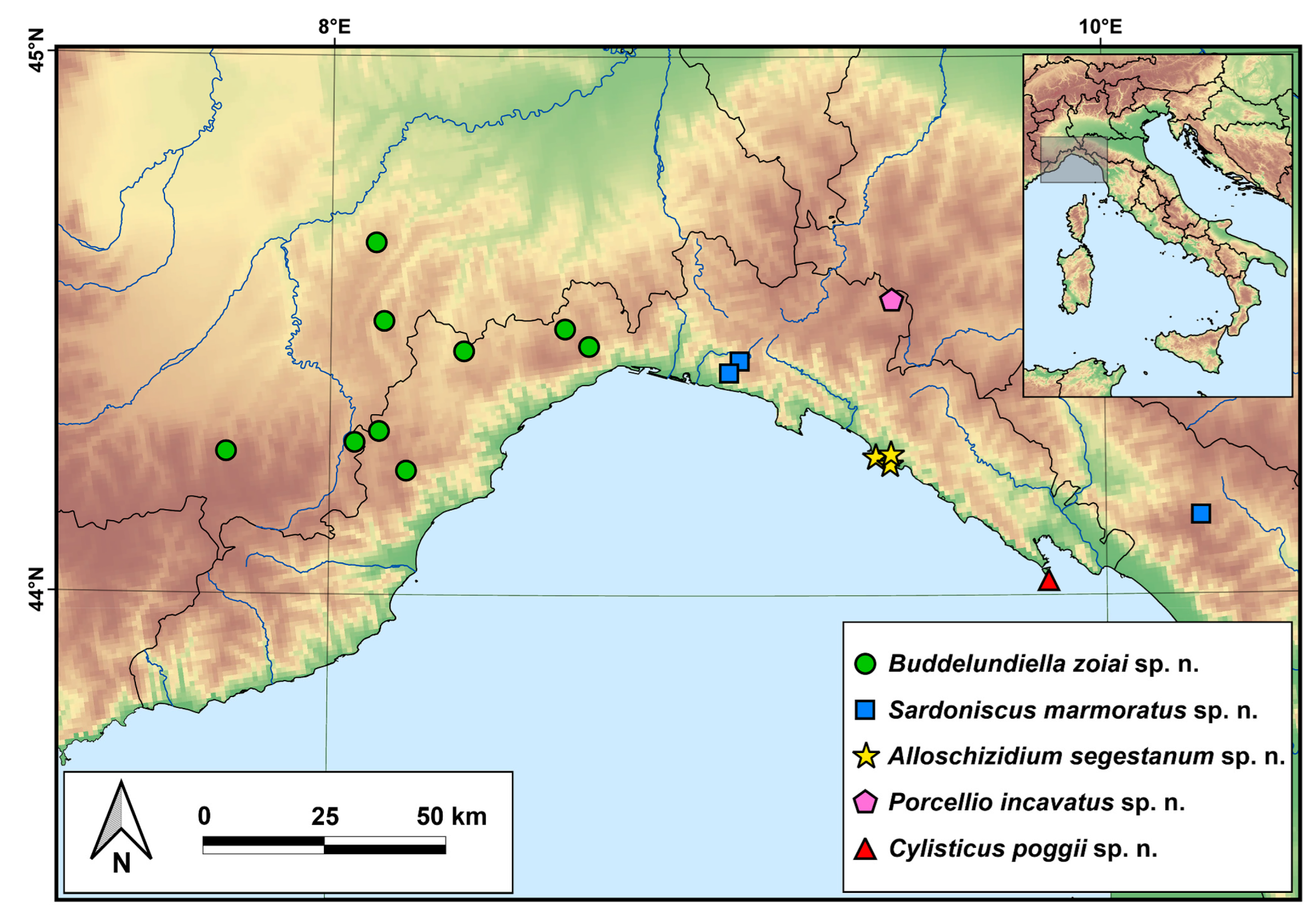 Diversity 15 00068 g016