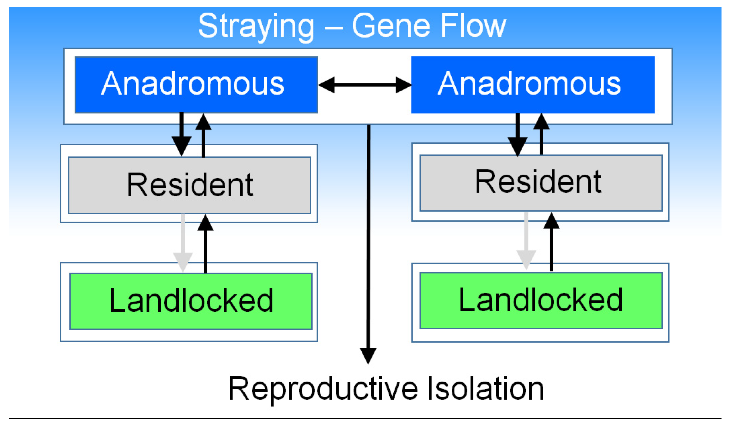 Diversity 15 00074 g004