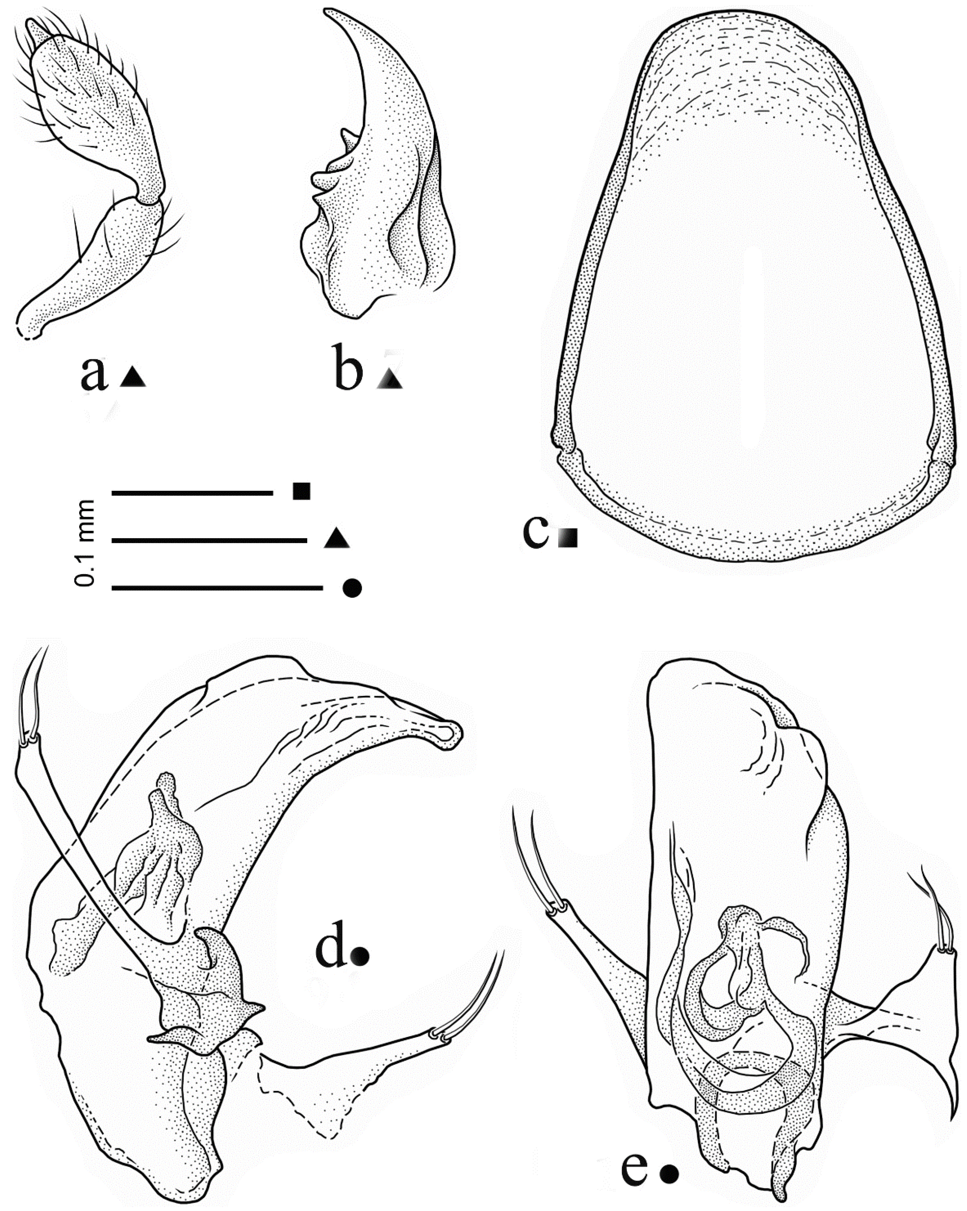 Diversity 15 00075 g002
