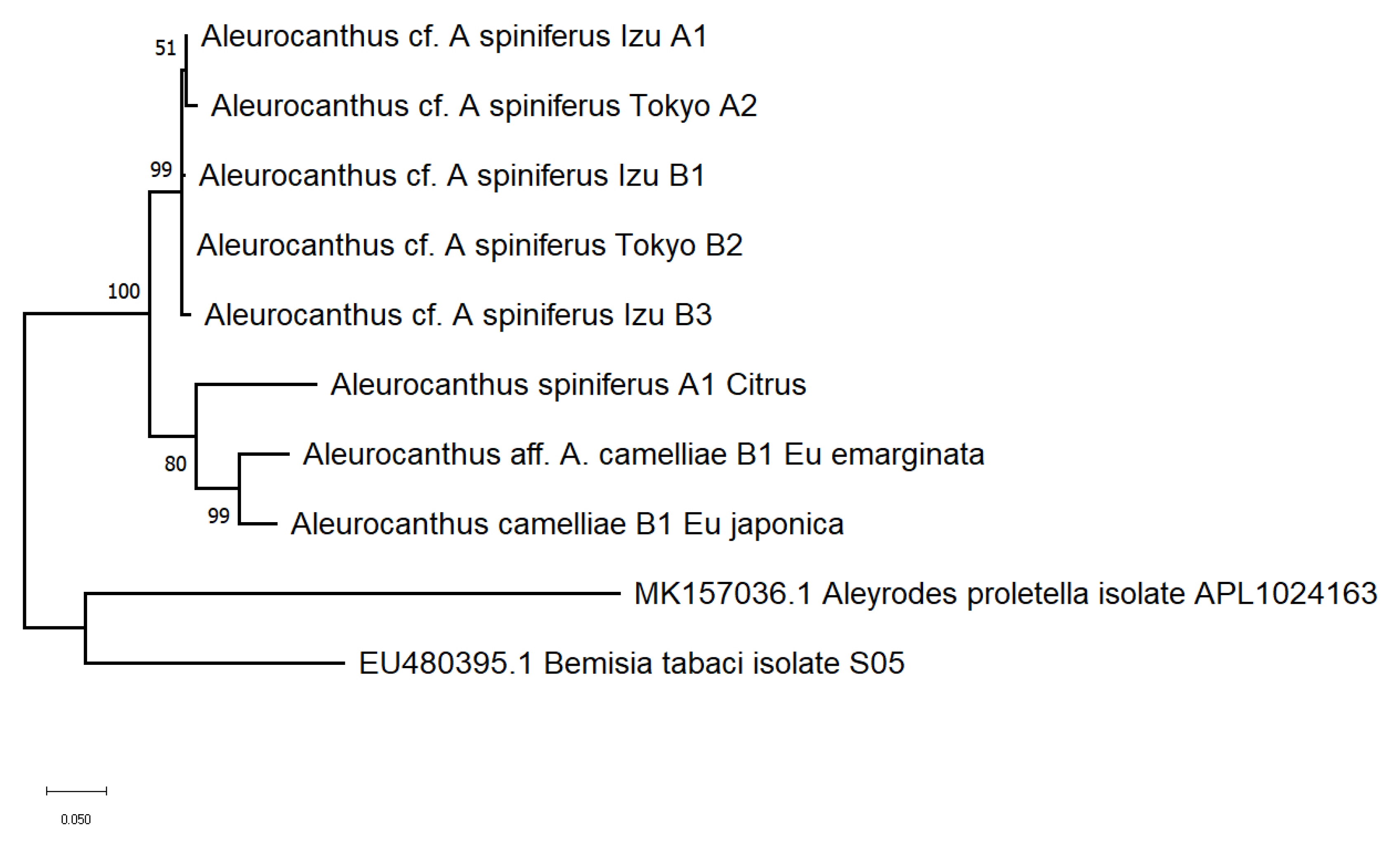 Diversity 15 00080 g003 Diversity 15 00080 g003