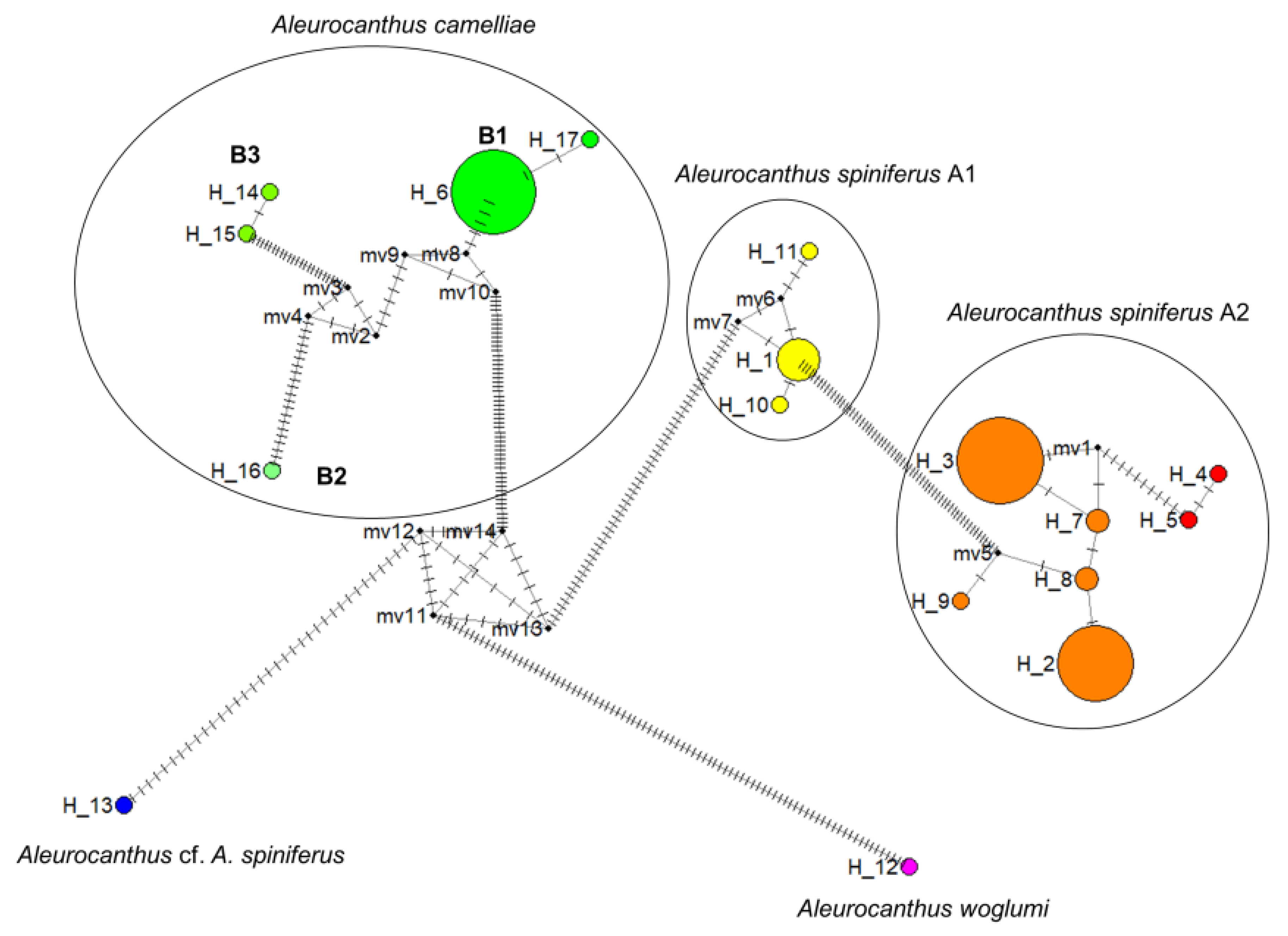 Diversity 15 00080 g004 Diversity 15 00080 g004