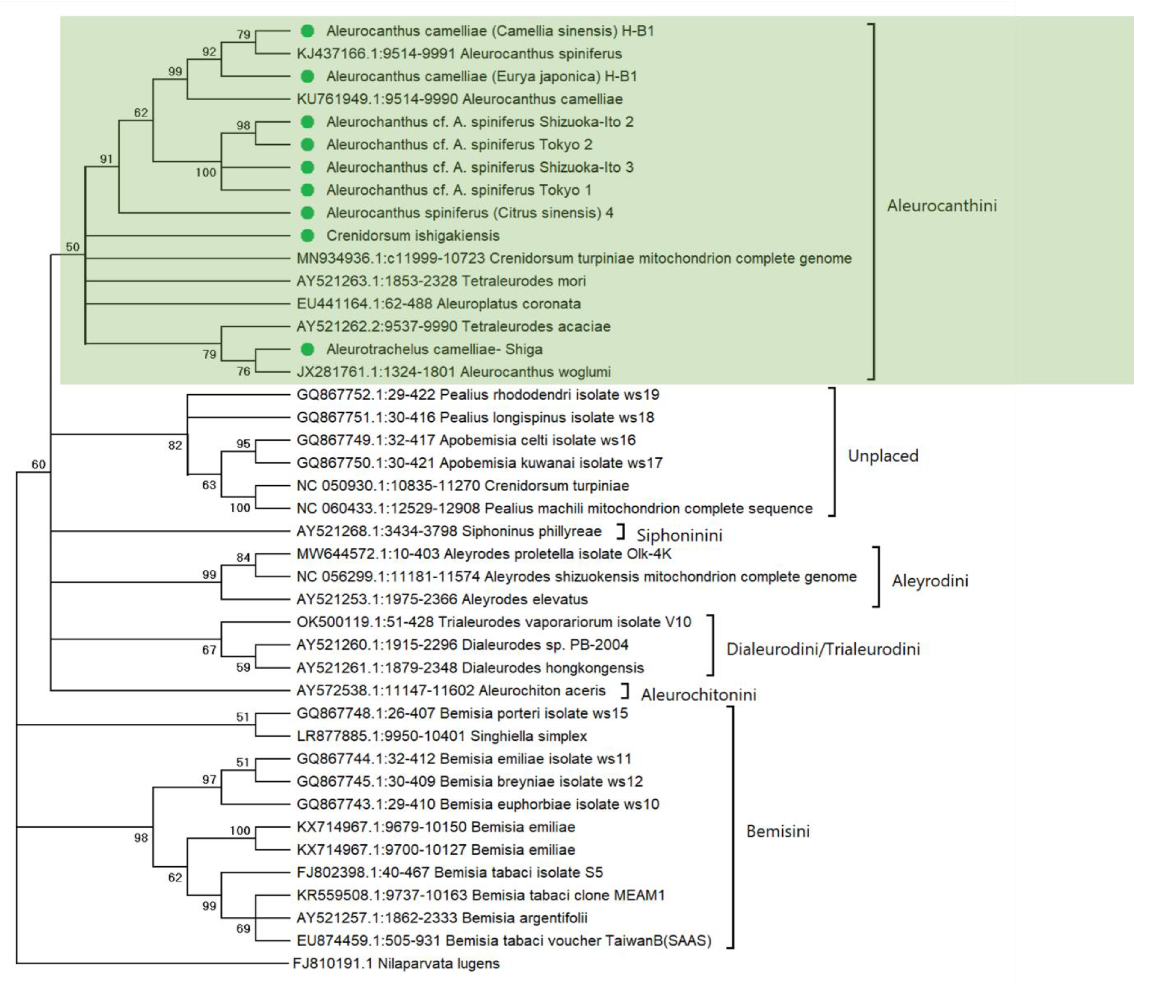 Diversity 15 00080 g006 Diversity 15 00080 g006