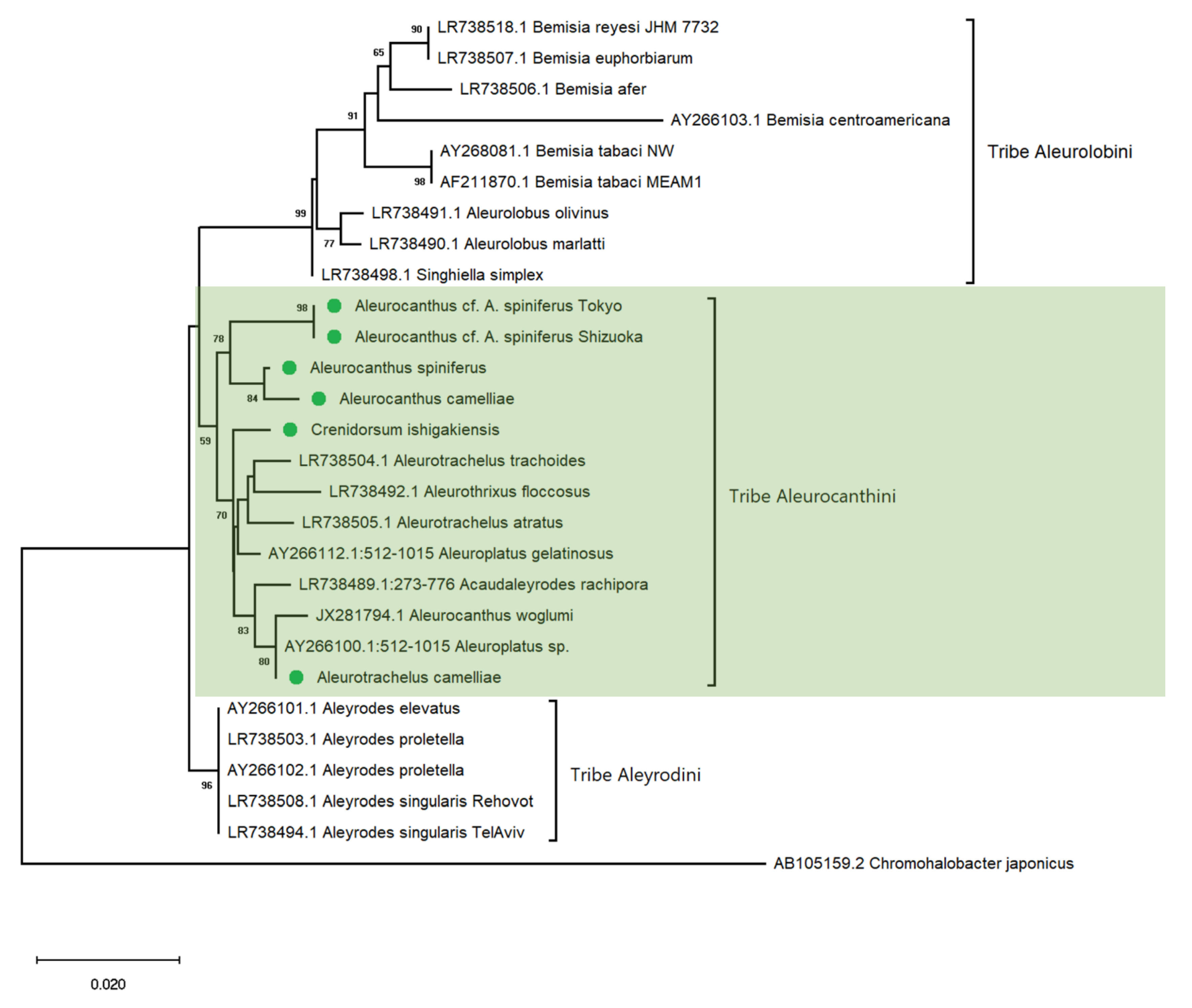 Diversity 15 00080 g007 Diversity 15 00080 g007