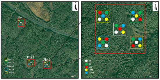 Diversity 15 00082 g0a1