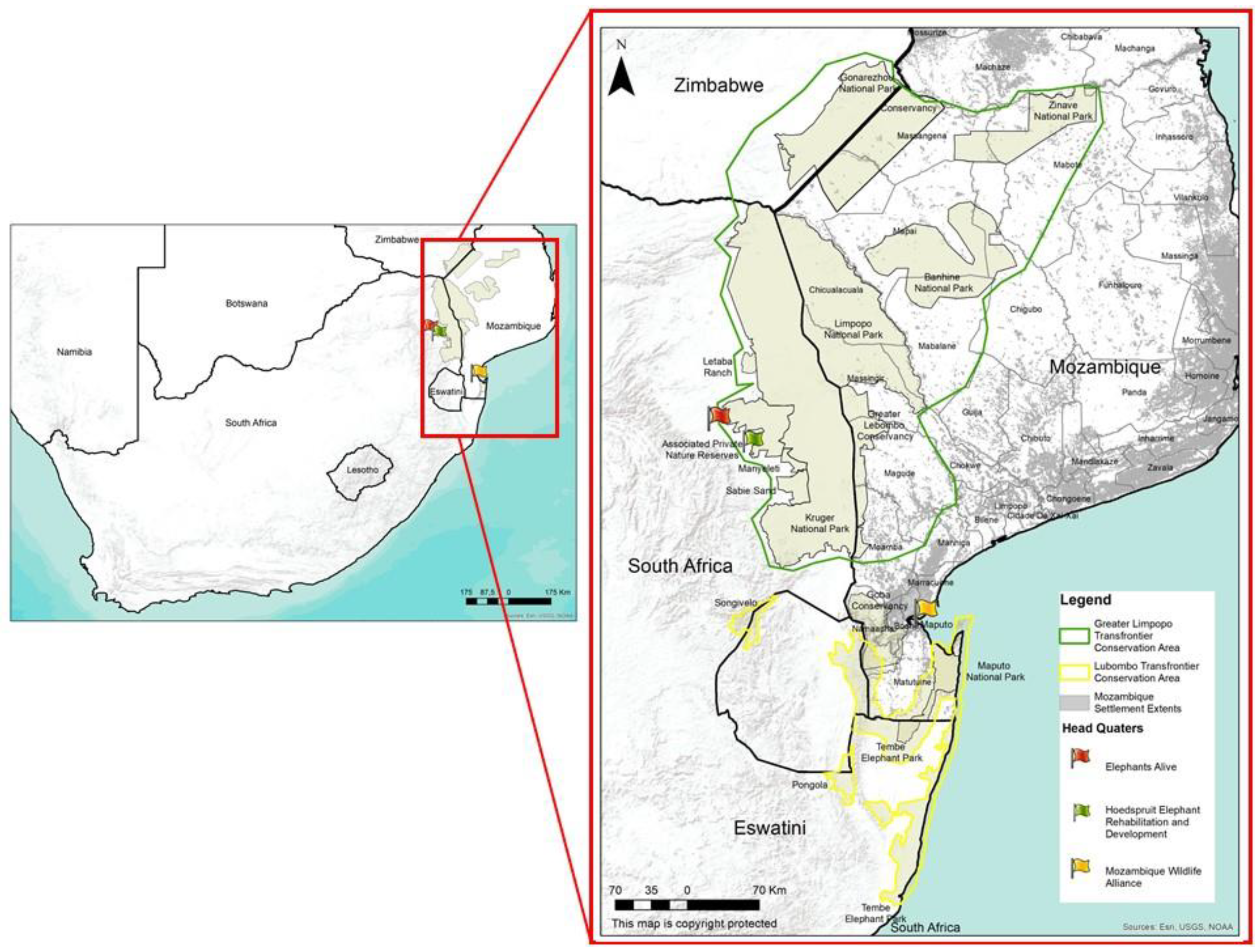 Diversity 15 00085 g001