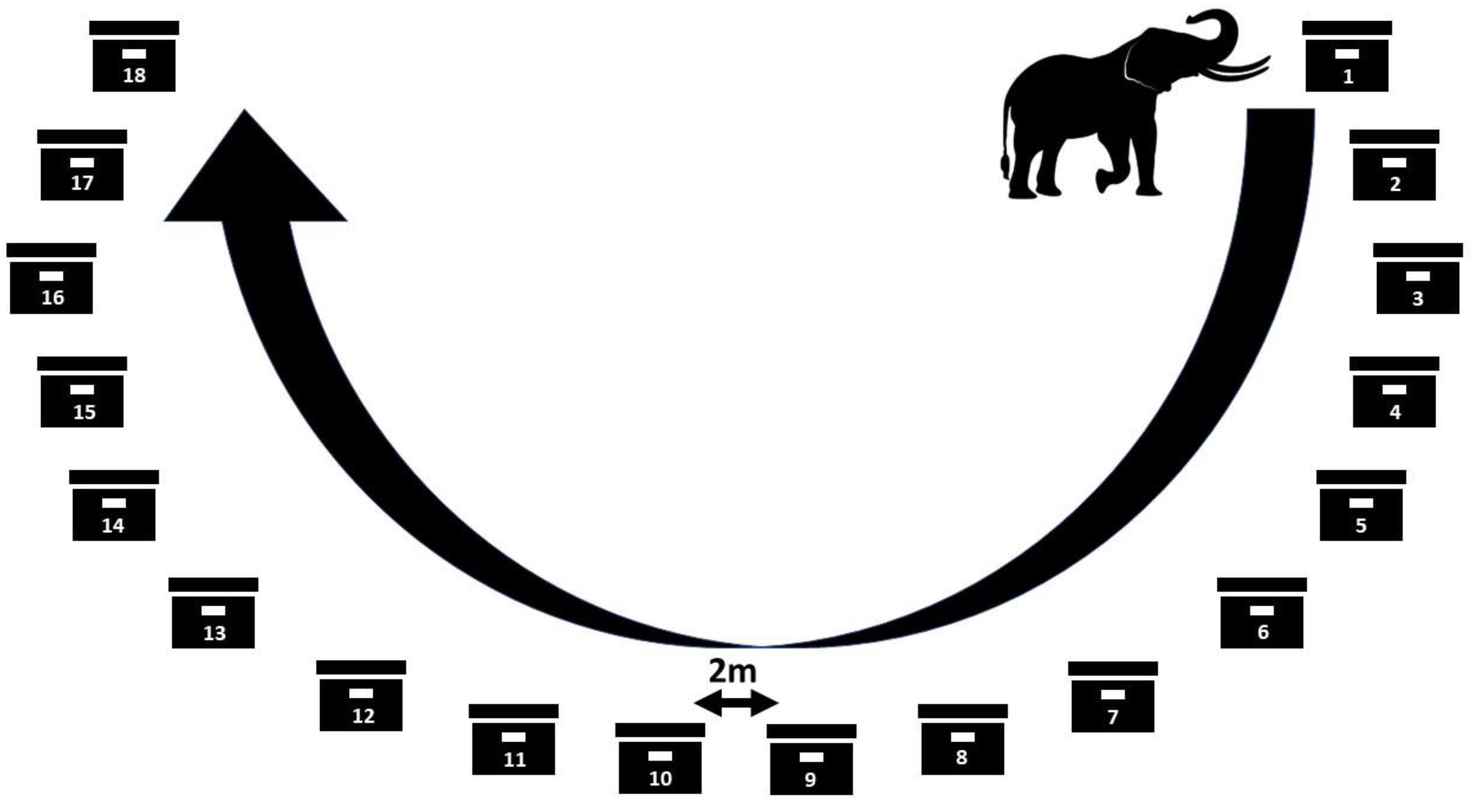 Diversity 15 00085 g003