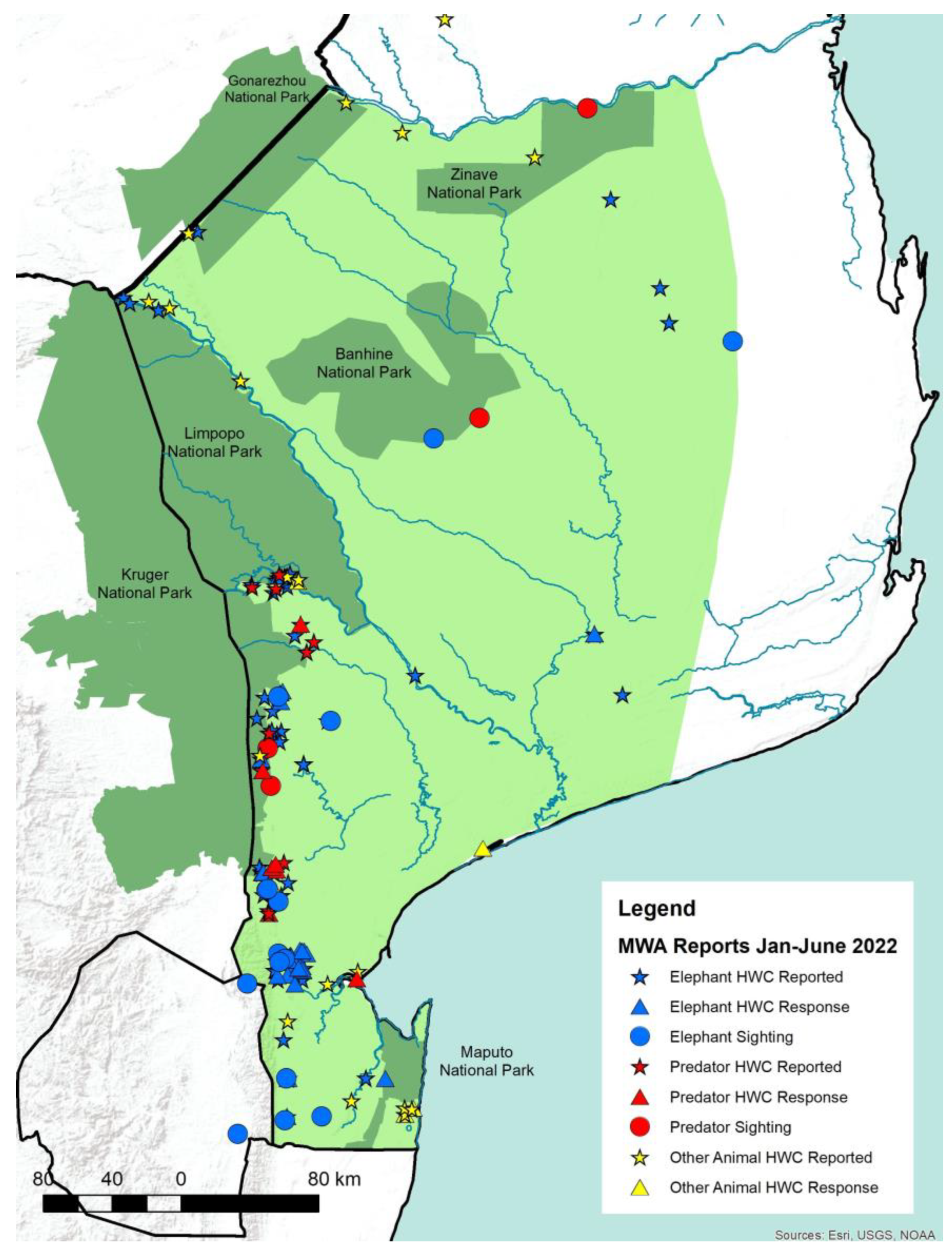 Diversity 15 00085 g004