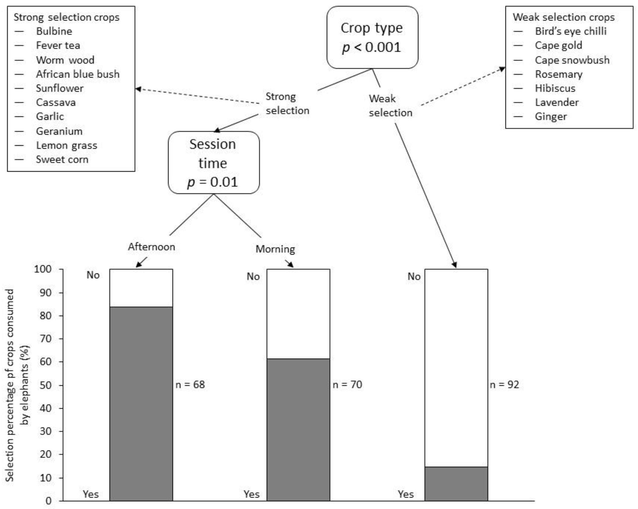 Diversity 15 00085 g005