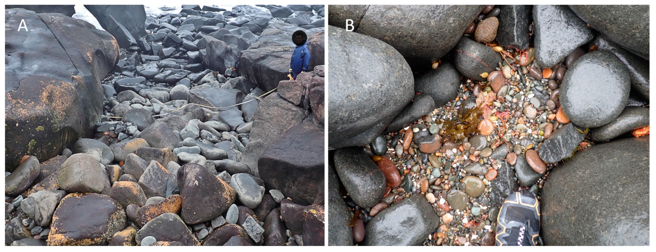 Diversity 15 00086 g005