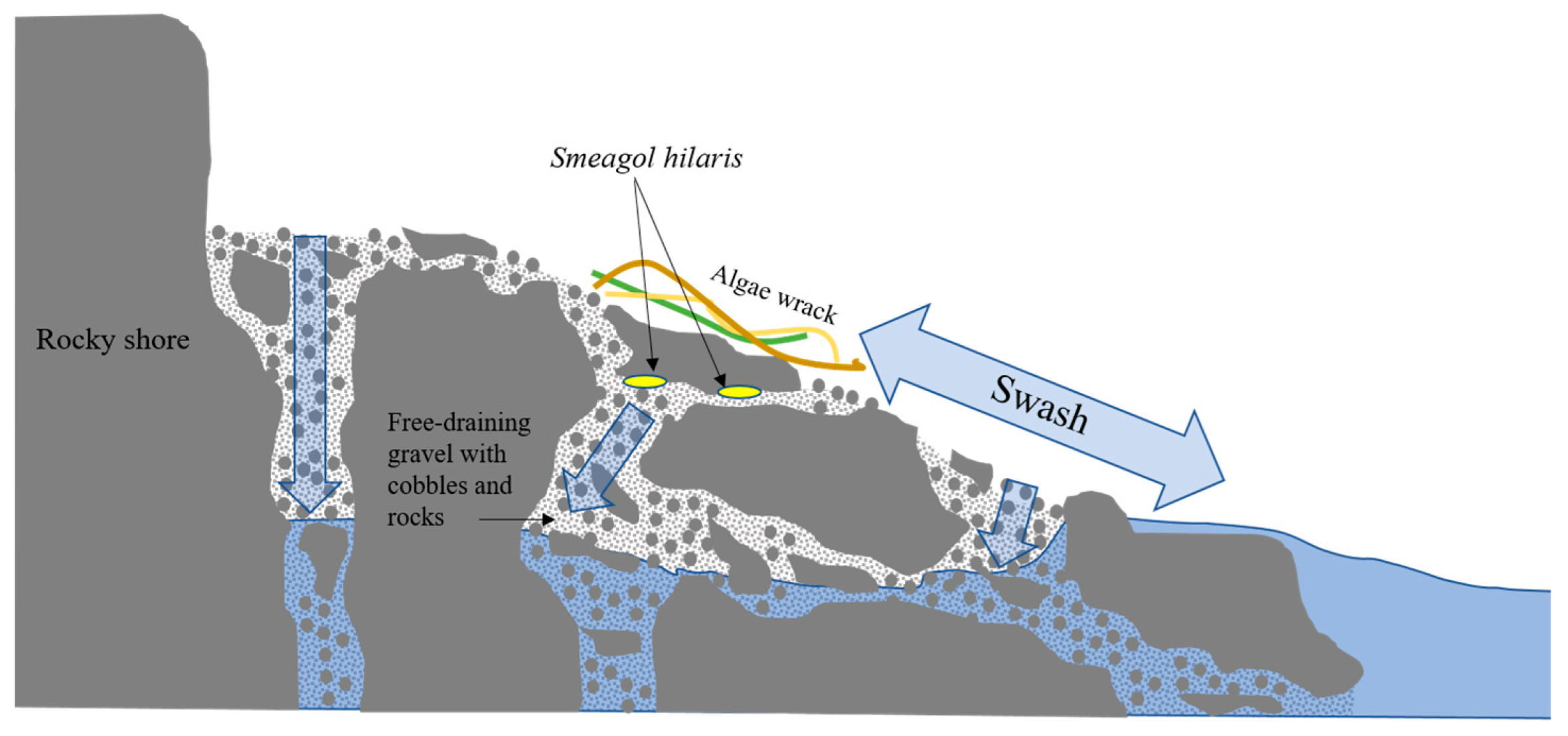 Diversity 15 00086 g007