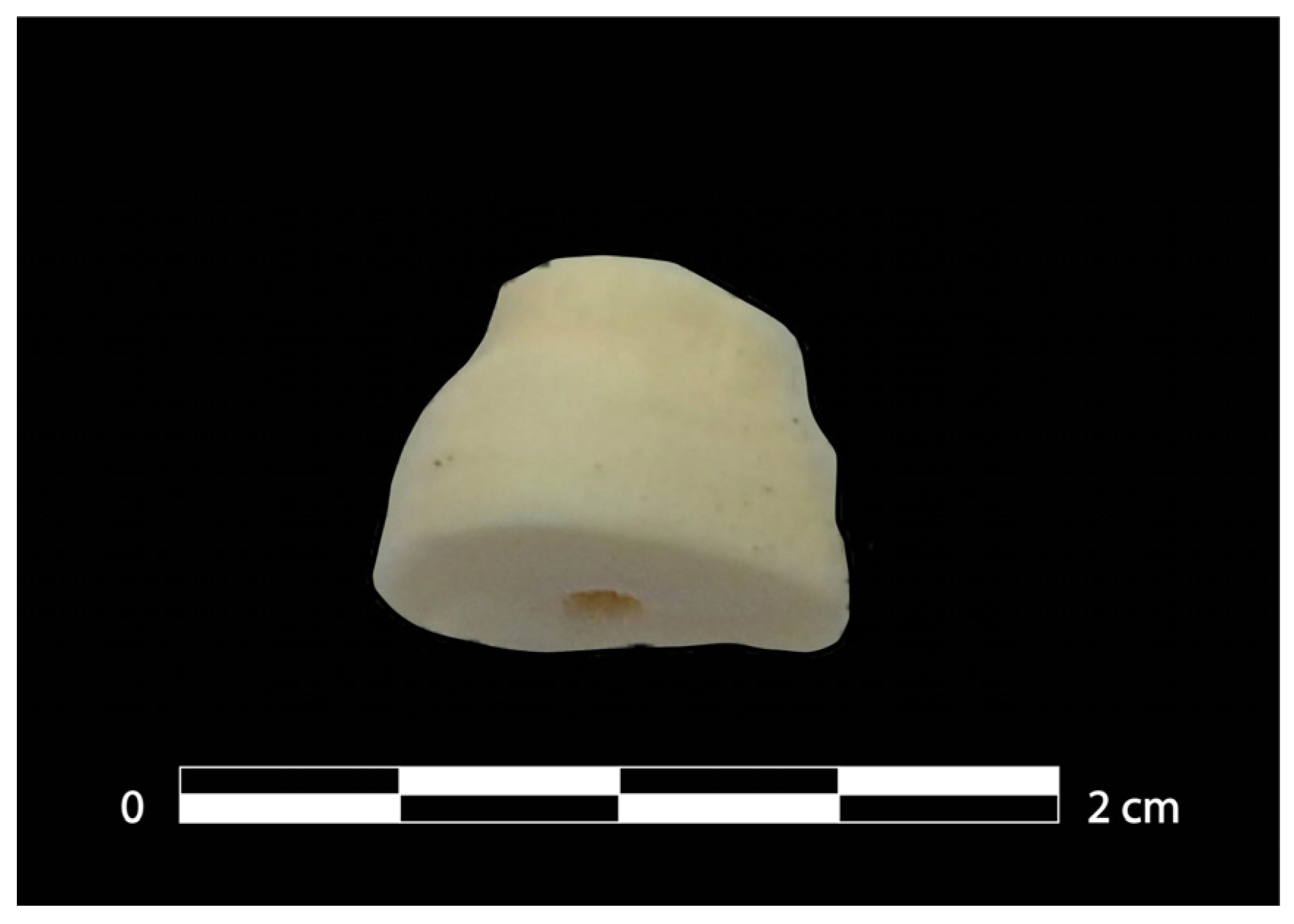 Diversity 15 00087 g002