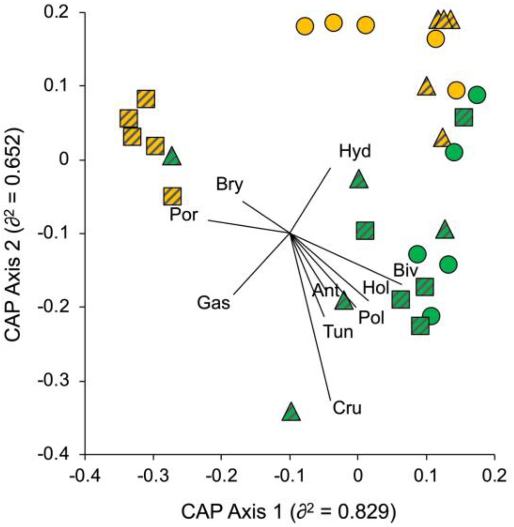 Diversity 15 00089 g005